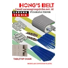 PT Sarana Teknik HONG'S BELT TABLETOP CHAIN HONGSBELT MODULAR PLASTIC CHAIN 1